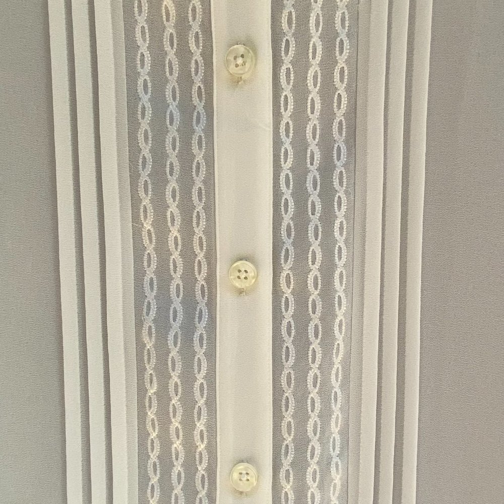 Cabi Sheer Playwright Button Down Blouse - image 3